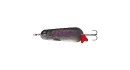 RAINBOW TROUT 