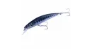 AHA0812 BARRACUDA ND 