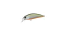MNI4047 TENNESSEE SHAD 