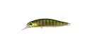 ASA3146 GOLD PERCH 