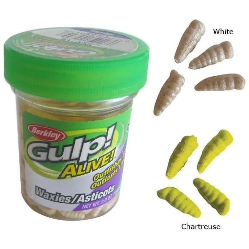 BERKLEY GULP ALIVE WAXIES 40PCS