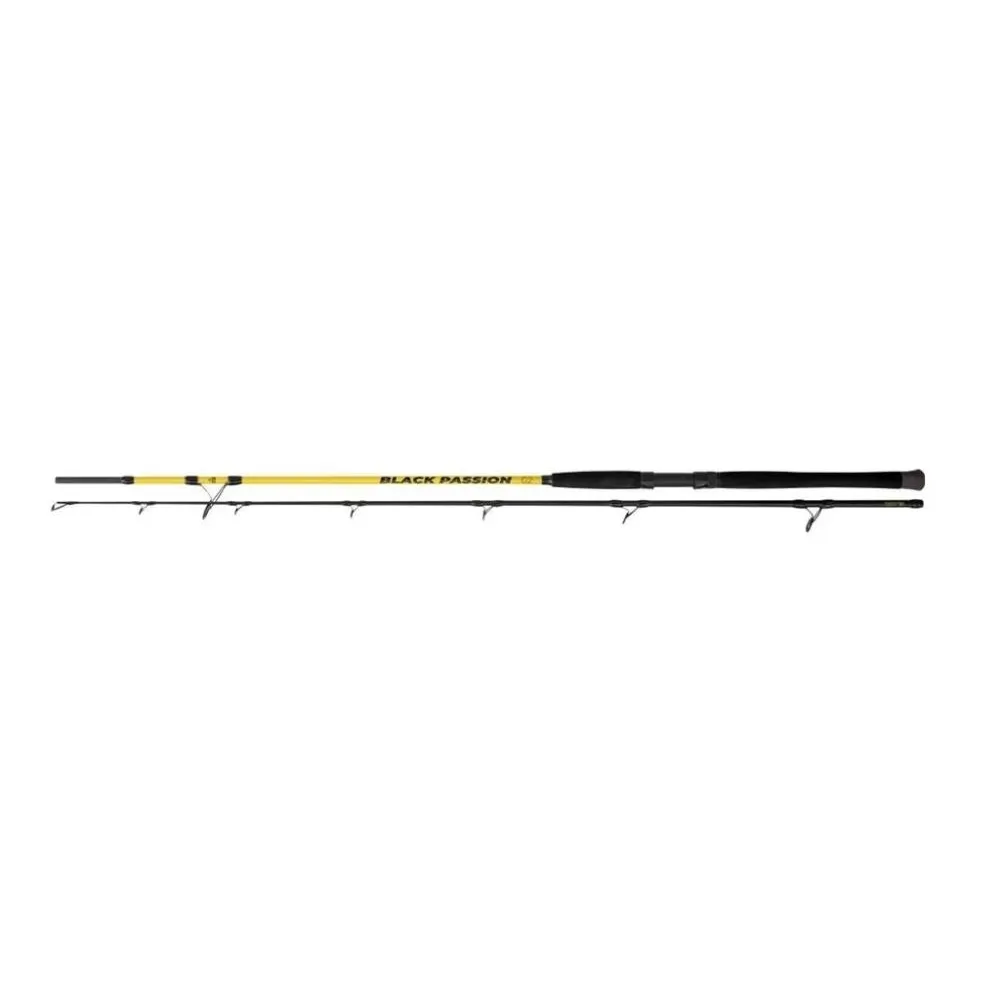 BLACK CAT BLACK PASSION G2 SPIN 2,7M 50-200G