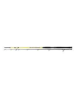 BLACK CAT BLACK PASSION G2 SPIN 2,7M 50-200G